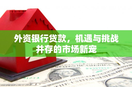 三台外资银行贷款，机遇与挑战并存的市场新宠