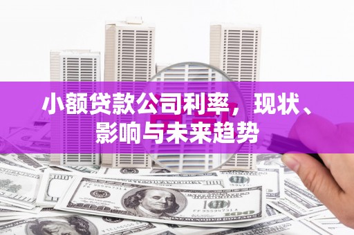 三台小额贷款公司利率，现状、影响与未来趋势