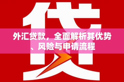 三台外汇贷款，全面解析其优势、风险与申请流程