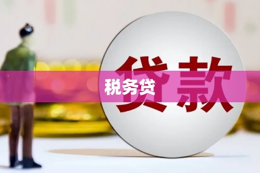 三台税务贷