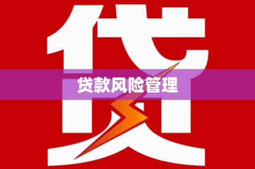 三台贷款风险管理