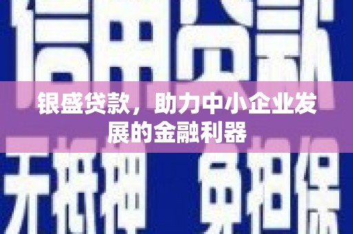 三台银盛贷款，助力中小企业发展的金融利器