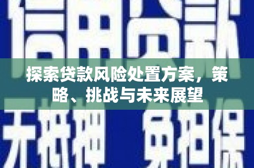 三台探索贷款风险处置方案，策略、挑战与未来展望