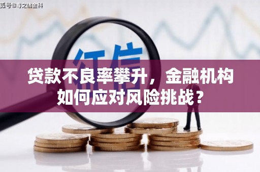 三台贷款不良率攀升，金融机构如何应对风险挑战？