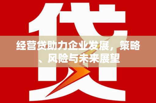 三台经营贷助力企业发展，策略、风险与未来展望