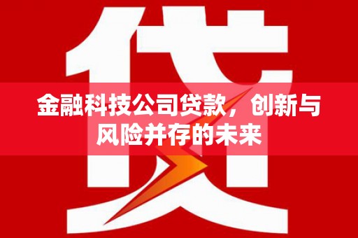 三台金融科技公司贷款，创新与风险并存的未来