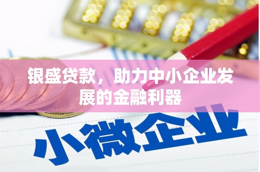 三台银盛贷款，助力中小企业发展的金融利器