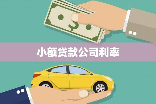 三台小额贷款公司利率