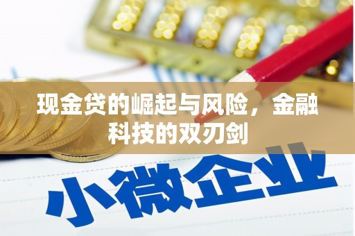 三台现金贷的崛起与风险，金融科技的双刃剑