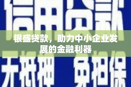 三台银盛贷款，助力中小企业发展的金融利器