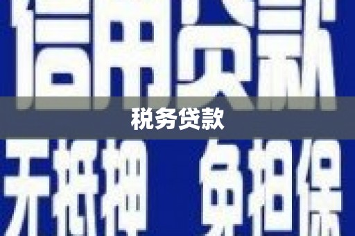 三台税务贷款