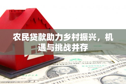 三台农民贷款助力乡村振兴，机遇与挑战并存