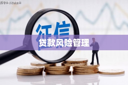 三台贷款风险管理