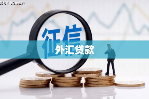 三台外汇贷款