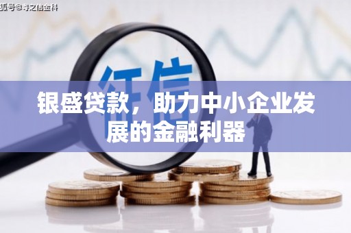 三台银盛贷款，助力中小企业发展的金融利器