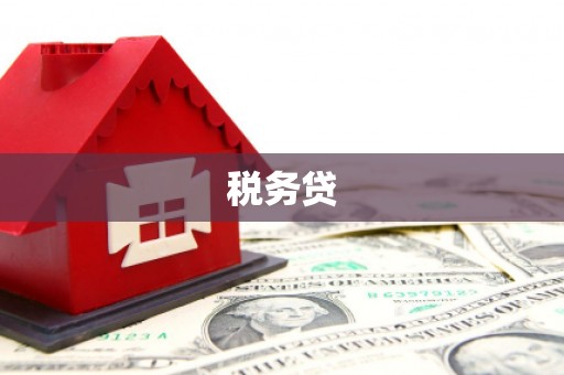 三台税务贷