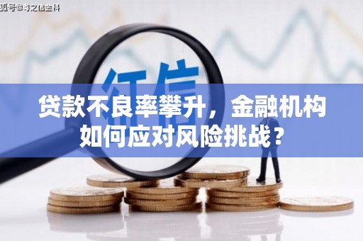 三台贷款不良率攀升，金融机构如何应对风险挑战？