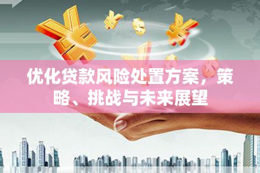 三台优化贷款风险处置方案，策略、挑战与未来展望
