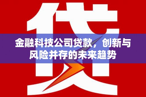 三台金融科技公司贷款，创新与风险并存的未来趋势
