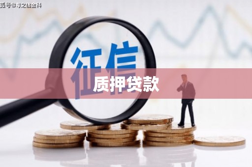 三台质押贷款