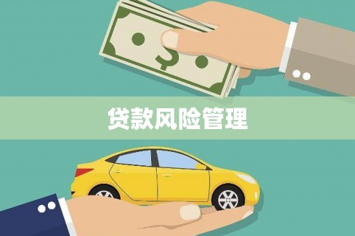 三台贷款风险管理