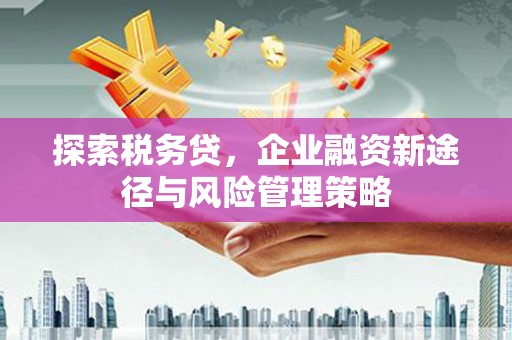 三台探索税务贷，企业融资新途径与风险管理策略