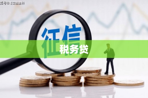 三台税务贷