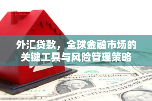三台外汇贷款，全球金融市场的关键工具与风险管理策略