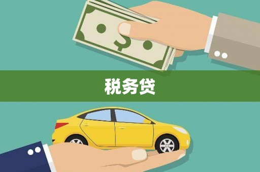 三台税务贷
