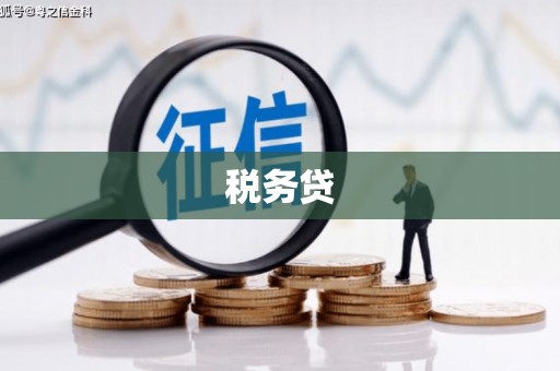三台税务贷