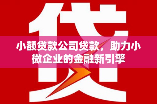 三台小额贷款公司贷款，助力小微企业的金融新引擎