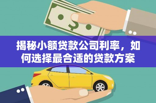 三台揭秘小额贷款公司利率，如何选择最合适的贷款方案