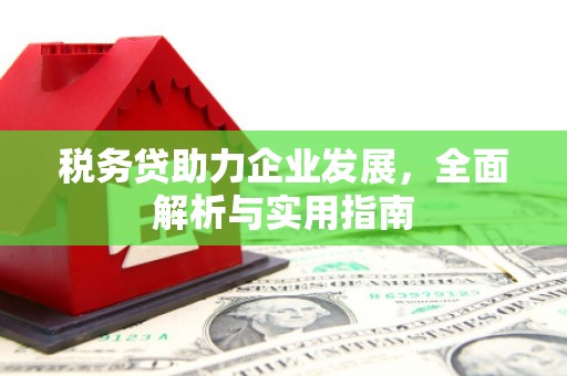 三台税务贷助力企业发展，全面解析与实用指南