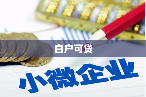 三台白户可贷
