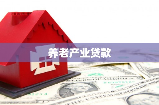三台养老产业贷款