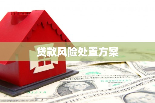 三台贷款风险处置方案