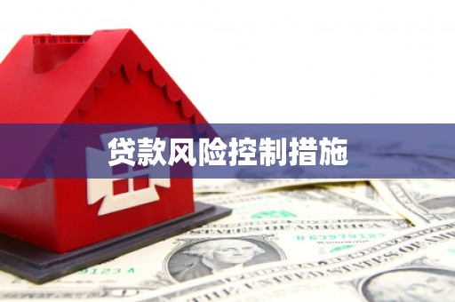 三台贷款风险控制措施