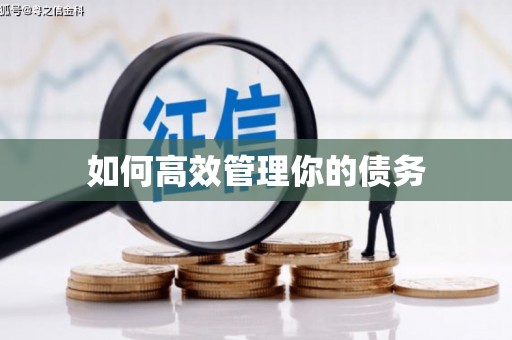 三台如何高效管理你的债务