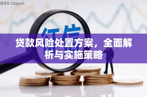 三台贷款风险处置方案，全面解析与实施策略
