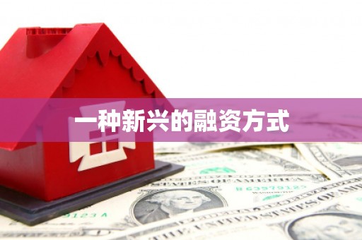 三台一种新兴的融资方式